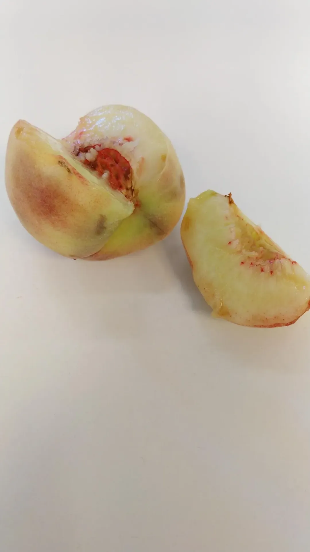 PRUNUS PERSICA 'FRUTERIA' HALFSTAM
