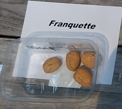 [JRFRH8] OKKERNOOT 'FRANQUETTE' HAUT-TIGE (8-10 cm)